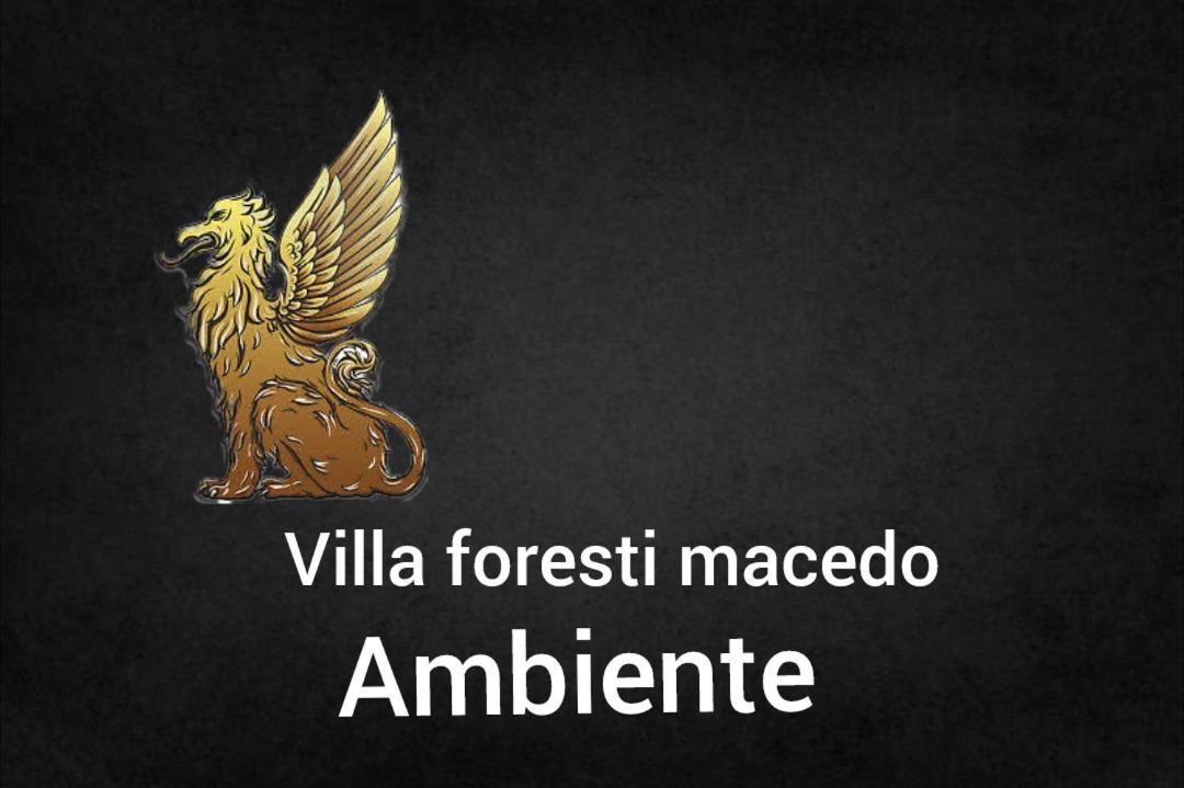 Ambiente Foresti Macedo Gramado Bagian luar foto